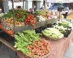 Paula at San Francisco Market