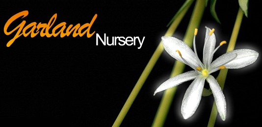 Art & Wine in the Garden August 8-9, 2009